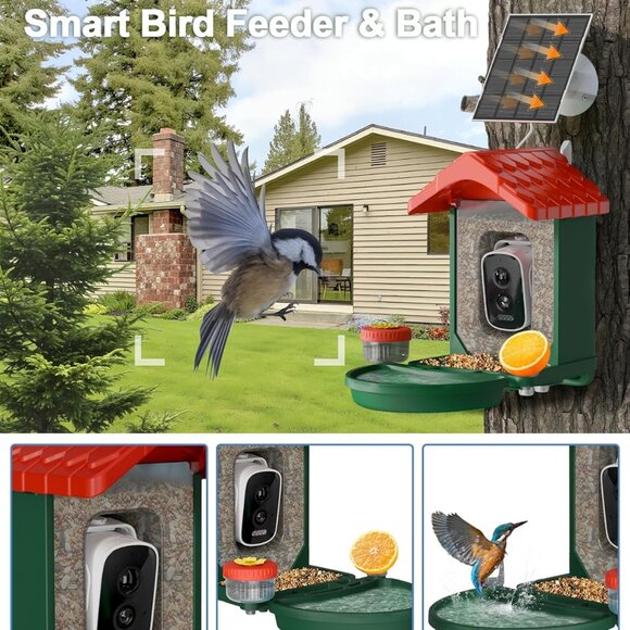 2-in-1 Smart Wild Bird Feeder & Bath with 4K HD Camera and AI Identification - Picture 3 of 8